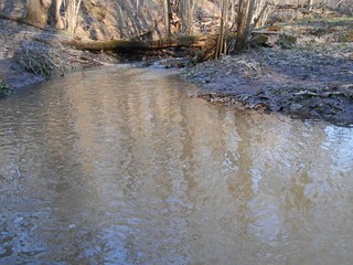 Stream with reflections in the forest in sunny spring day.