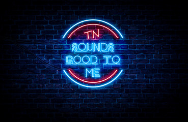 A sign showing Tennessee state slogan, in blue and red neon light on a brick wall background and wires on the side.
