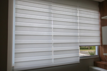 window with blinds