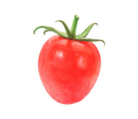 Watercolor hand drawn tomatoes isolated on white.