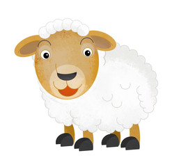 cartoon scene with farm sheep on white background - illustration for children