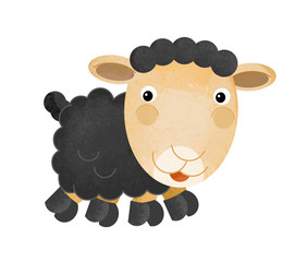 cartoon scene with farm sheep on white background - illustration for children