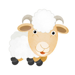 cartoon scene with farm sheep on white background - illustration for children