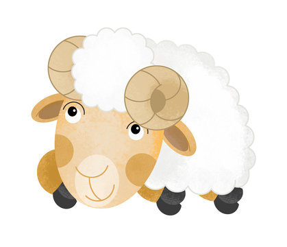 cartoon scene with farm sheep on white background - illustration for children