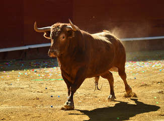 toro en españa