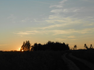 Fototapeta na wymiar Sunset over the trees in the field.