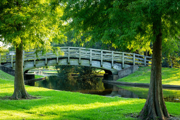 The Park on a Sunny Day