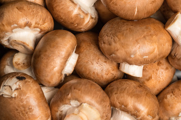 fresh champignon mushrooms