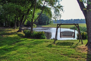 Scenic Summer day, with pond, trees, wood swing, hammock, and daffodils