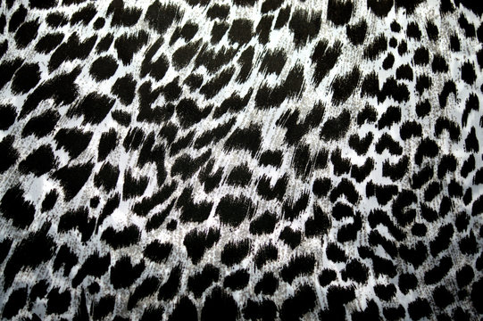Leopard, jaguar. Fur pattern on the fabric. Print color and black and white.