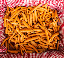 basket of bright orange carrots