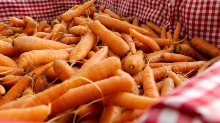close up basket of carrots