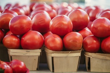 fresh tomatoes in a market