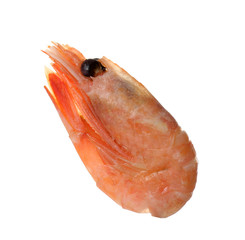 Raw shrimp on white background. Fresh seafood