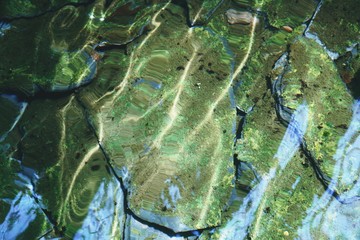 green moss and stone under water in lake at sunrise