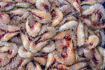 Sea fresh shrimps at street market in Thailand. Seafood concept.