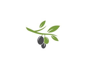 olive logo template