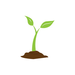 Fototapeta na wymiar Isolated plant image. Eco icon. Vector illustration design