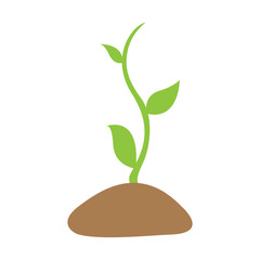 Obraz na płótnie Canvas Isolated plant image. Eco icon. Vector illustration design