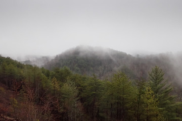 Mountaintop in the fog