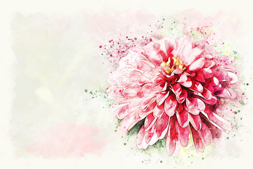 Abstract colorful flower blooming watercolor illustration painting background.