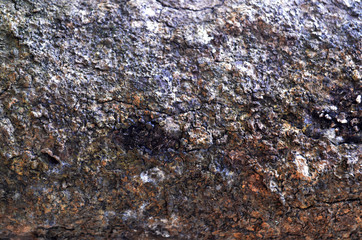 Pepagan is also called bark, which is the outermost layer of stems
