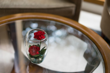 Obraz na płótnie Canvas red rose flower in glass