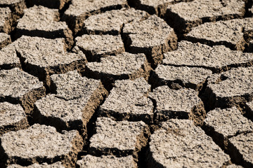Dry and cracked soil