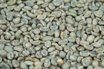 washed process of raw organic arabica green beans coffee from ethiopia africa ready to roast to quality coffee at the coffee shop, selective focus. agriculture and coffee industry concept.
