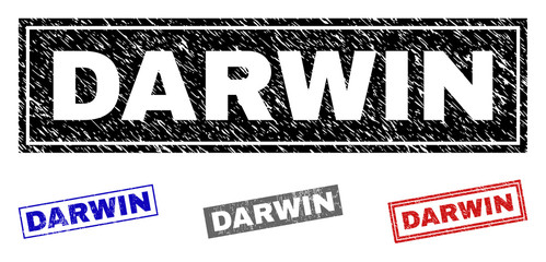 Grunge DARWIN rectangle stamp seals isolated on a white background. Rectangular seals with distress texture in red, blue, black and grey colors.