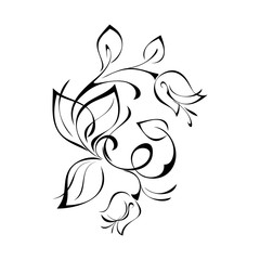 decorative floral ornament with buds and leaves in black lines on white background