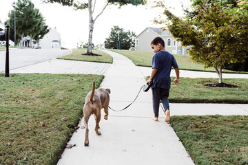mixed race boy walking dog