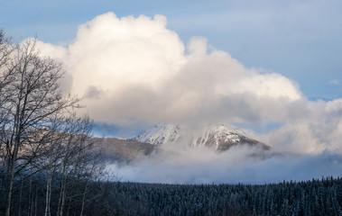 Aspen, Conifers, Mountains and Clouds