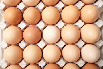 Eggs in cardboard box. Top view. Texture.