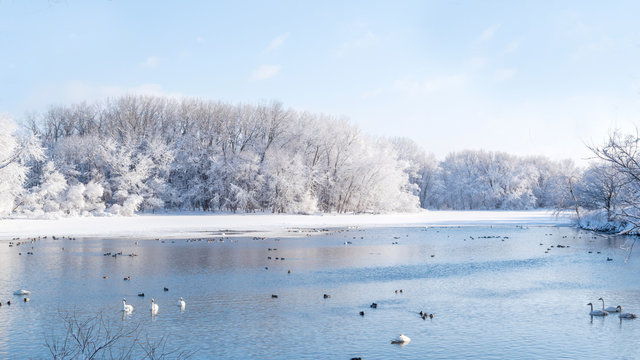 Snow covered forests and lakes in winter - Powered by Adobe