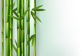 Fototapeta na wymiar Green bamboo trunks background realistic vector illustration