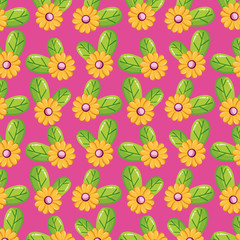 flowers leaves nature