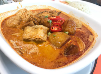 Asian Curry Spicy Noodle Soup