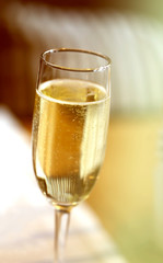 Fine macro photo of champagne glass in a restaurant