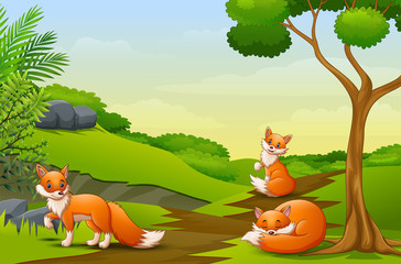 Obraz na płótnie Canvas Cartoon three a fox enjoying on the field