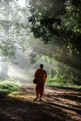 Buddhist monk walking in forest sunset light with fog