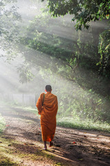Buddhist monk walking in forest sunset light with fog
