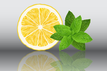 Lemon and mint reslistic vector illustration on grey background