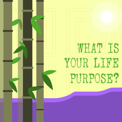 Writing note showing What Is Your Life Purposequestion. Business concept for Personal Determination Aims Achieve Goal