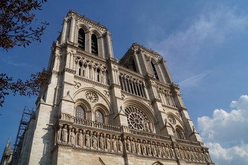 Fototapeta na wymiar Notredame