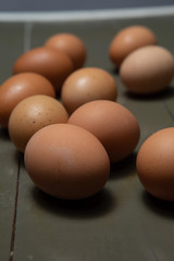 eggs on a gray background