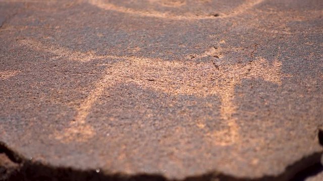 Close-up of an Old Rock Painting at Twyfelfontein, Nambia. Similar to a Leopard