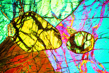 Abstract micrograph of olivine pyroxenite viewed with a polarizing microscope.