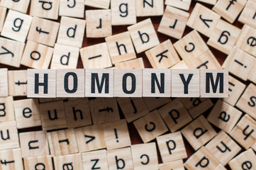 the word of HOMONYM on building blocks concept