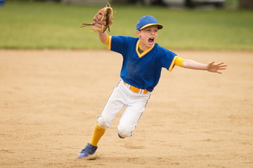 little boy playing baseball and celebrating